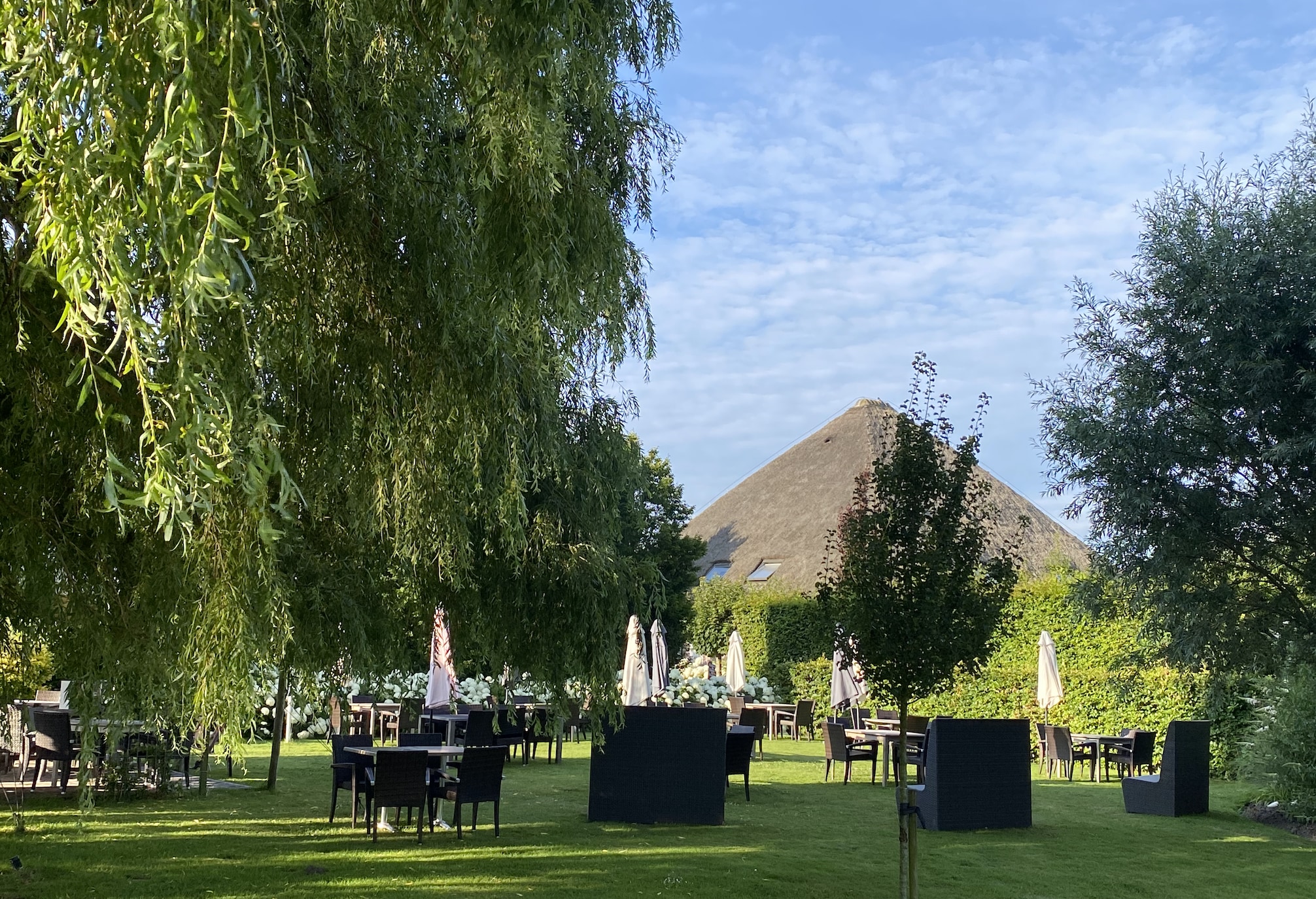 Terras van Theetuin Bloom