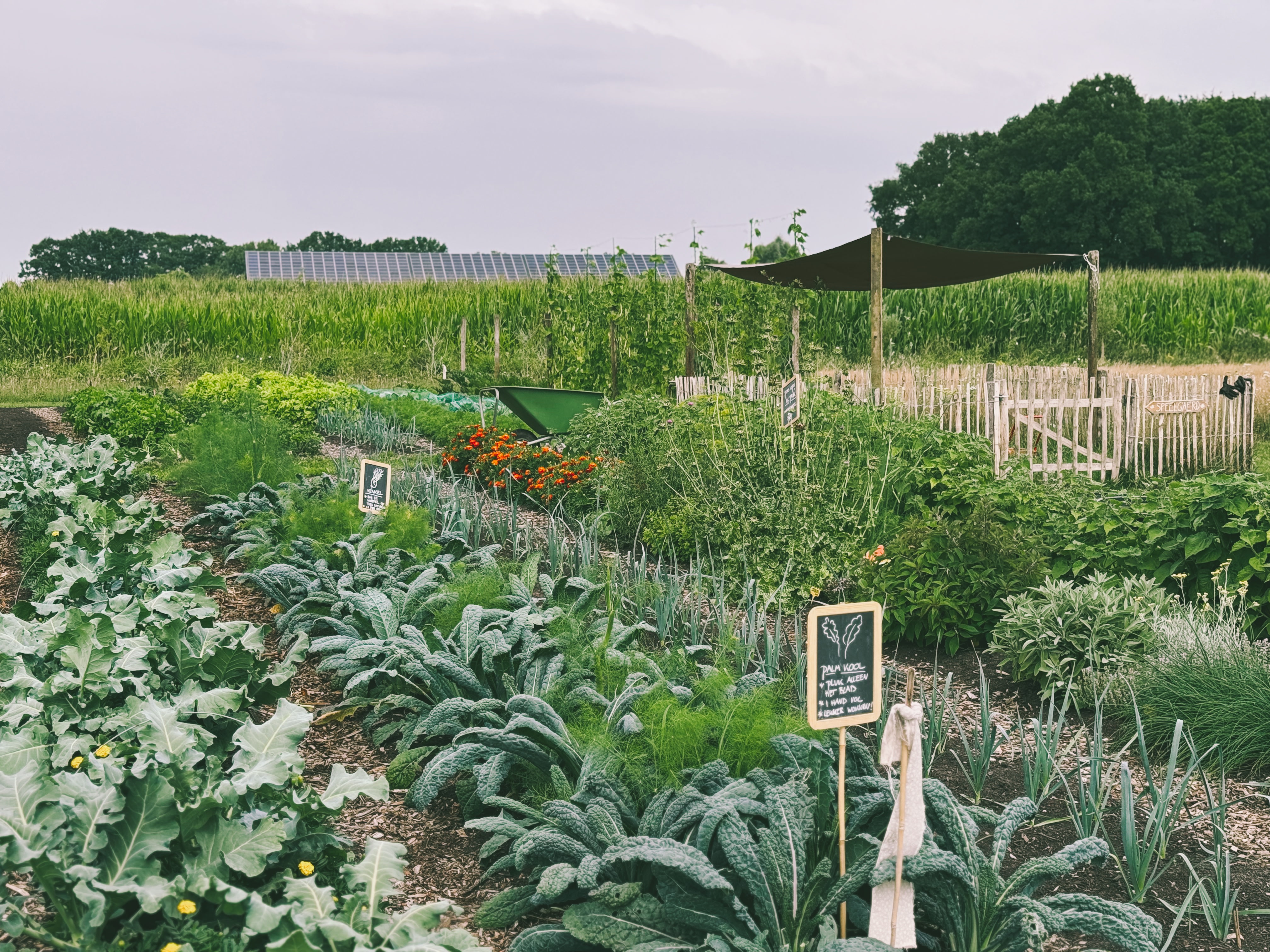 Zelfoogsttuin G'aerd