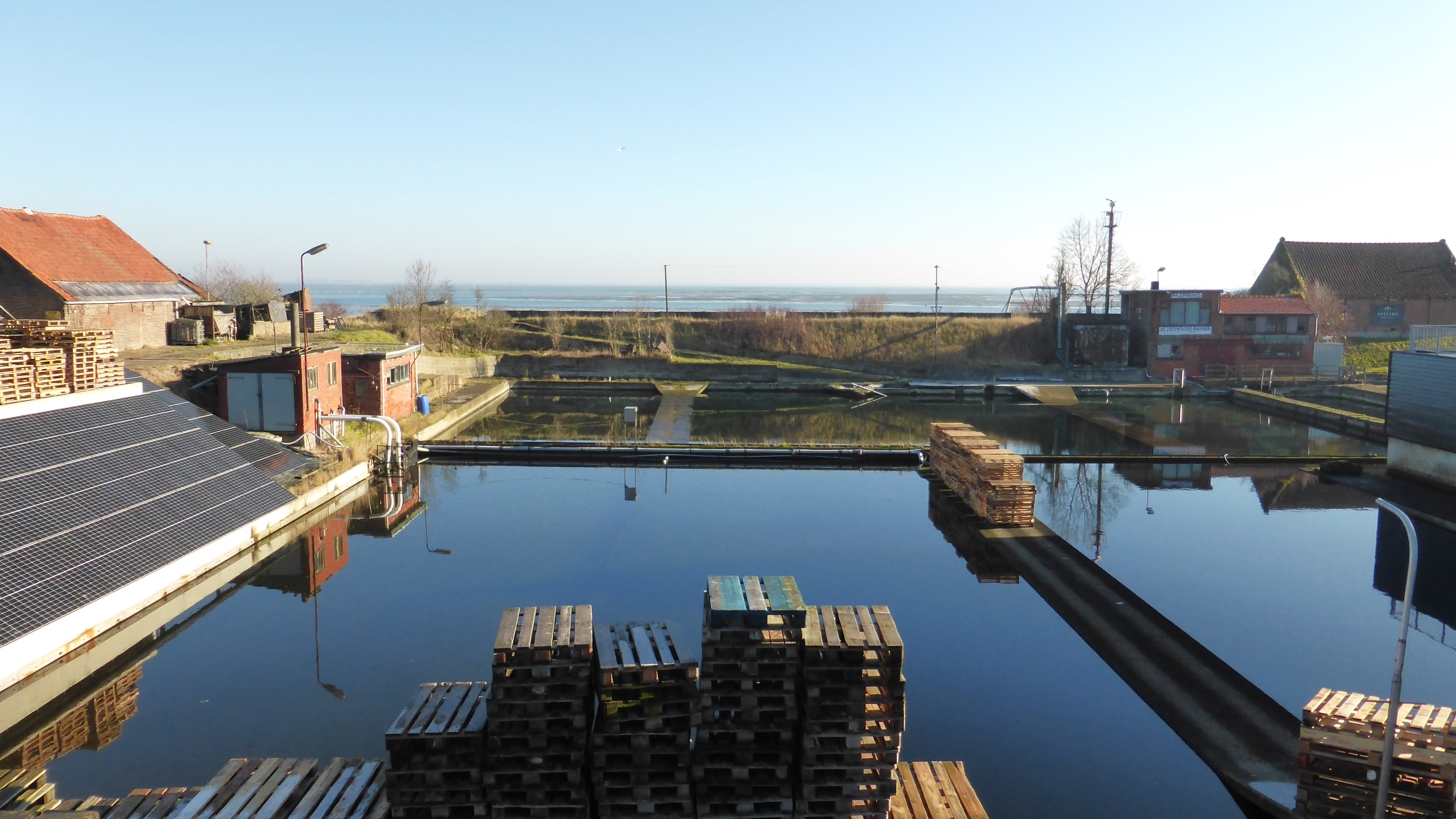 Oesterputten en loodsen bij Yerseke