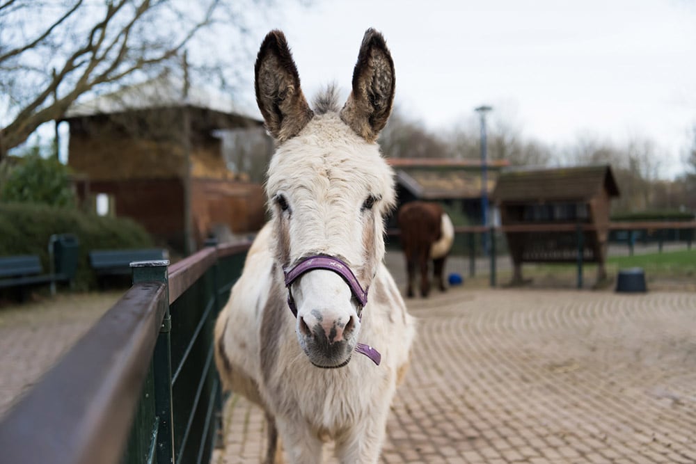 Natuurcentrum Gorinchem