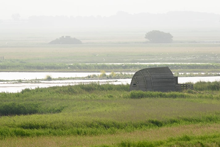 Vogelkijkhut Hegewiersterfjild