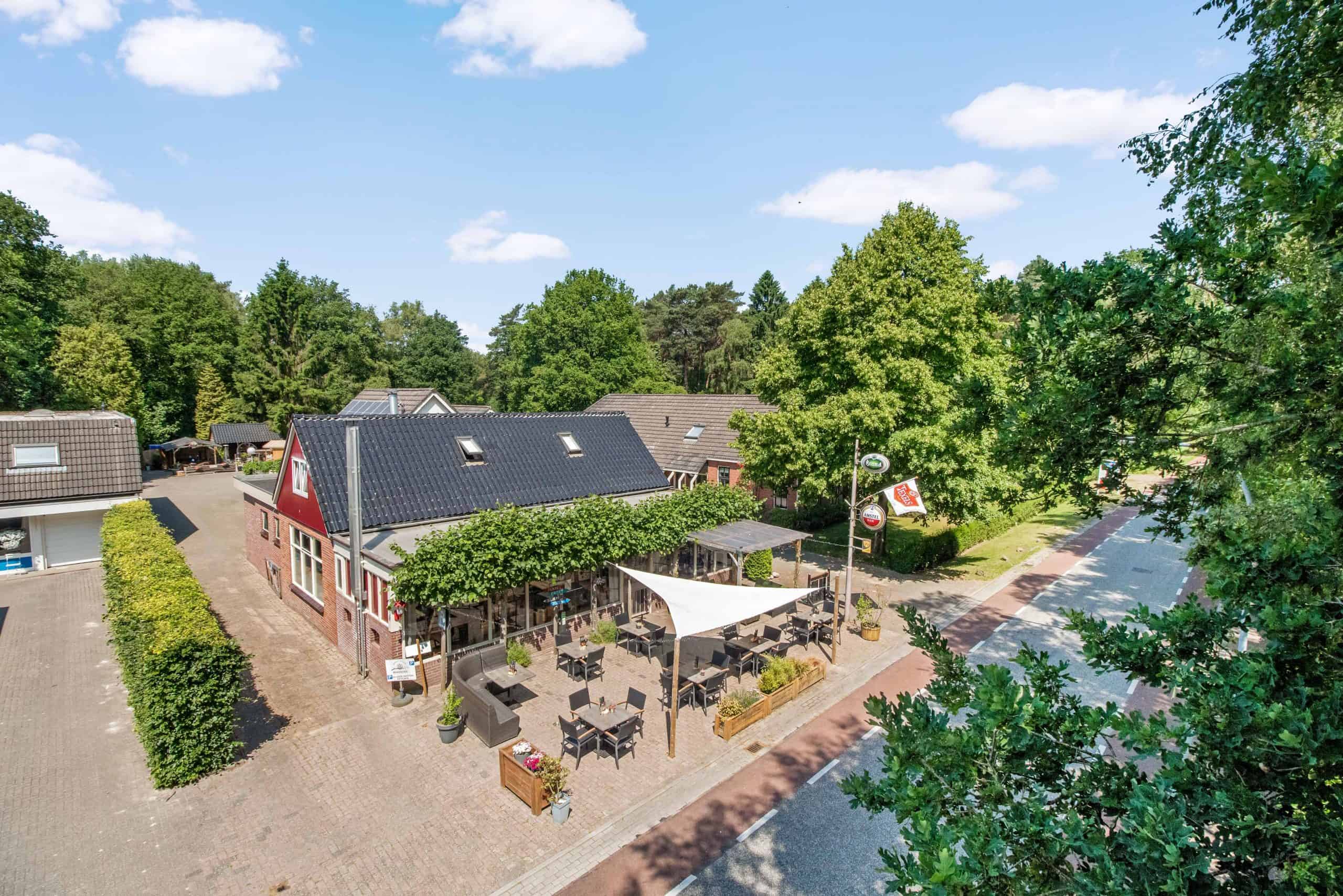 Boszicht een overzicht