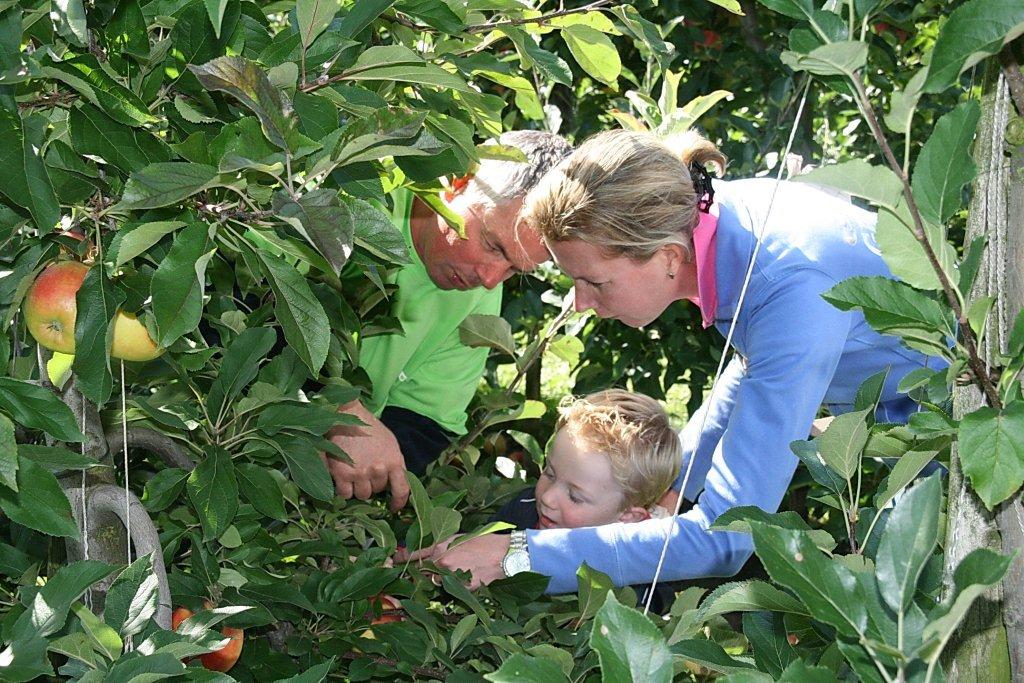 Tussen de appels van Roks