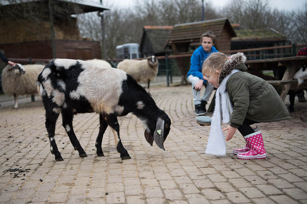 Natuurcentrum Gorinchem