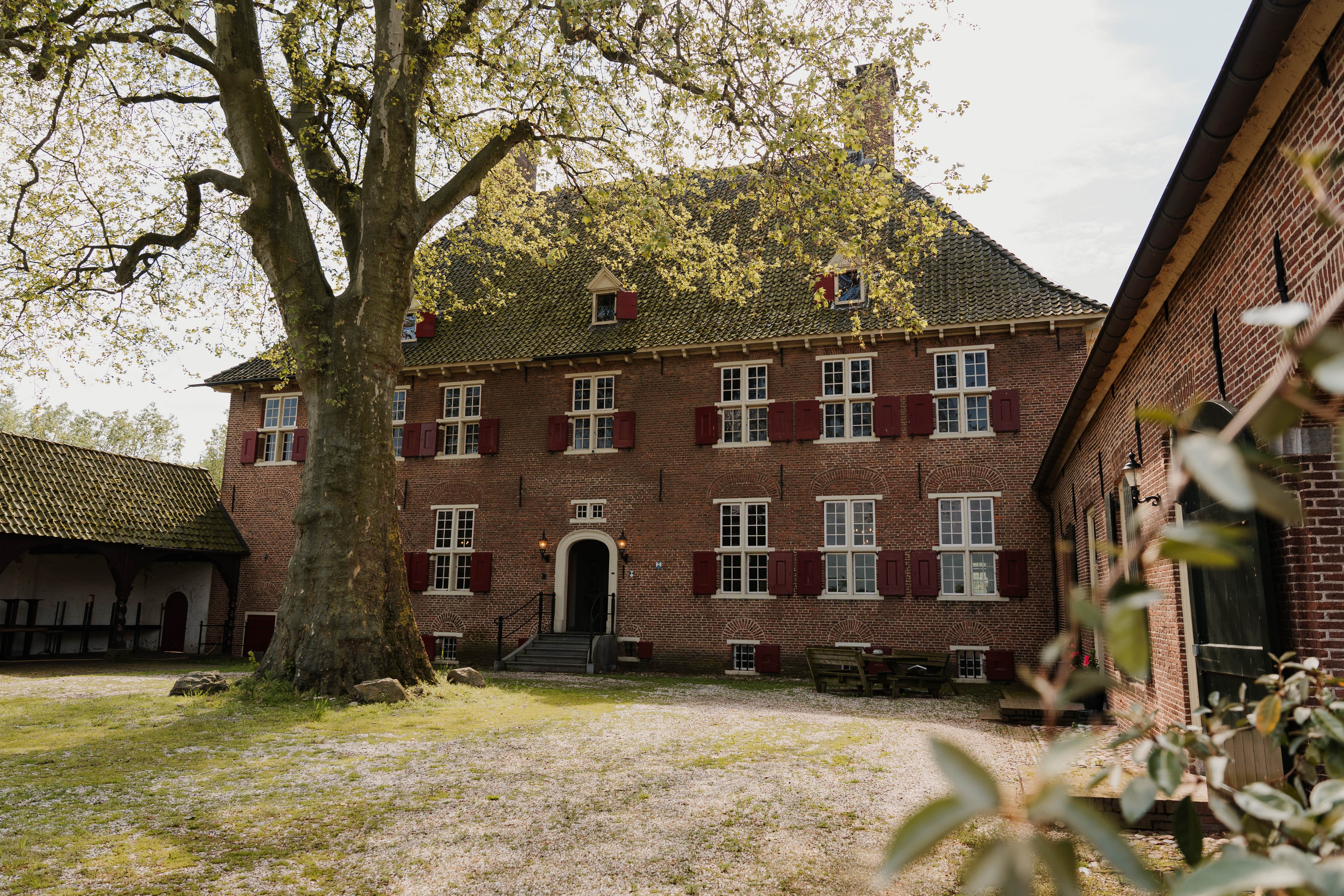 Huis Aerdt en de plataan