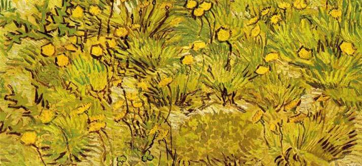 Vincent van Gogh, A field of yellow flowers. Frankrijk, 1889