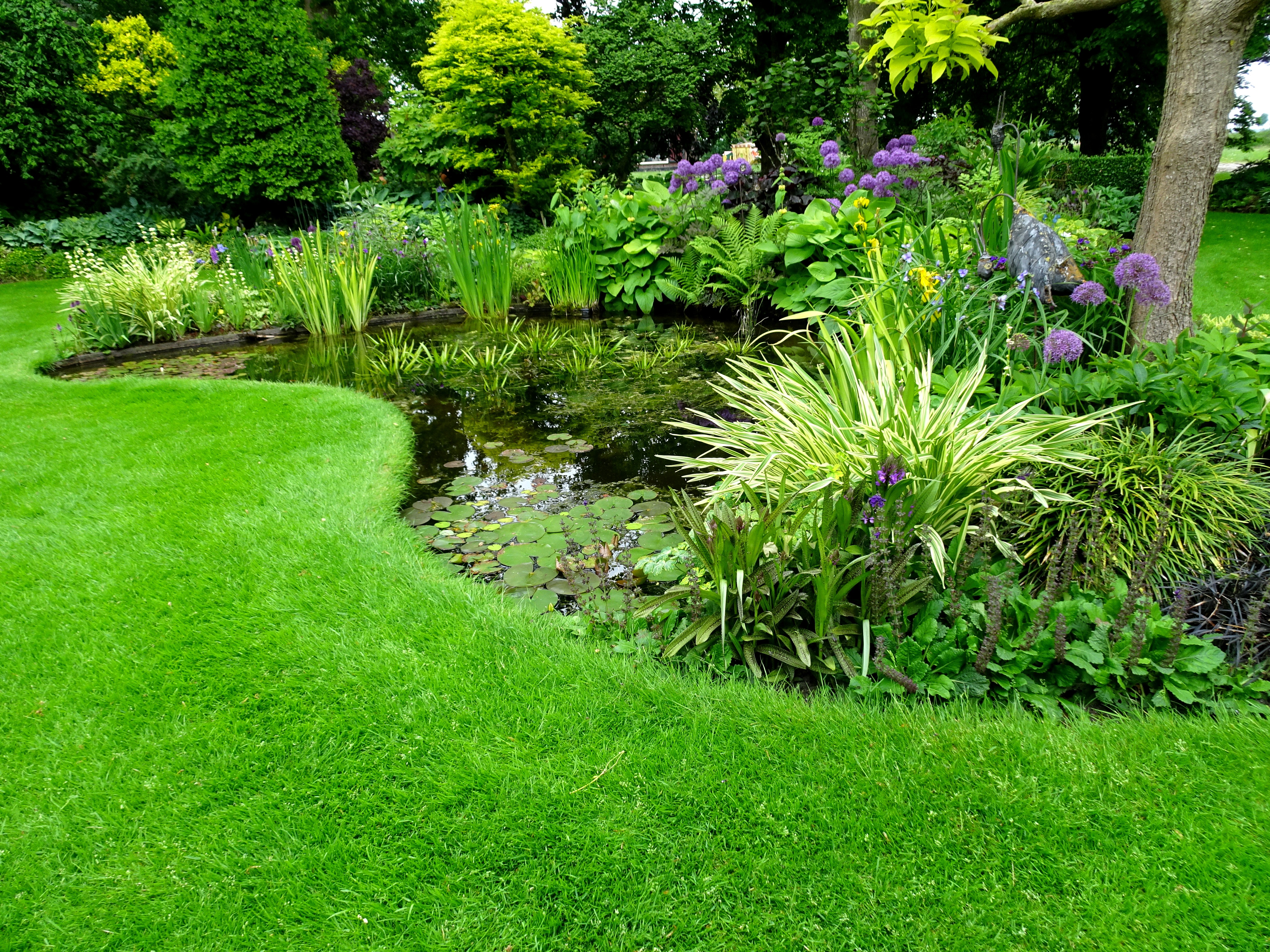 De Stekkentuin Vijver