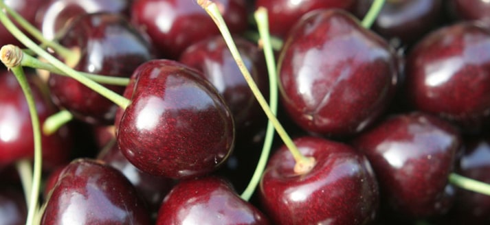 Biologisch Fruitbedrijf Lauwershof