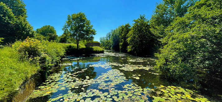 Het fort bij Fort Lunet IV