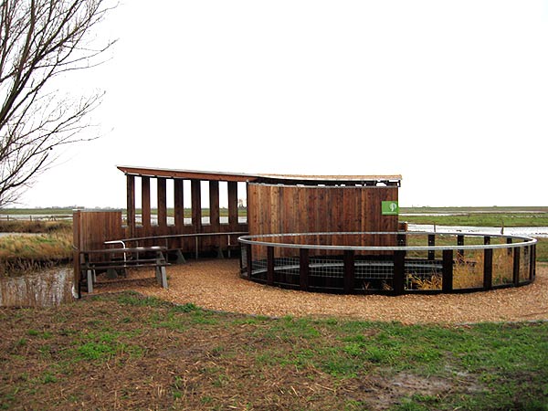 Vogelkijkscherm Scherpenissepolder - ©Paul Voorhaar