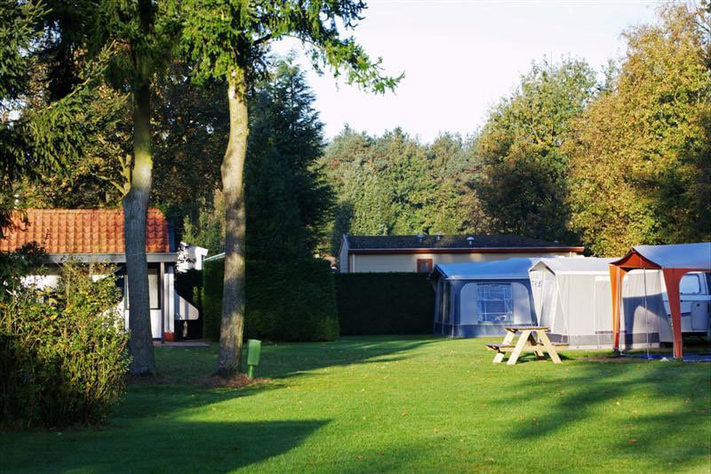 Parkcamping t Ravenest