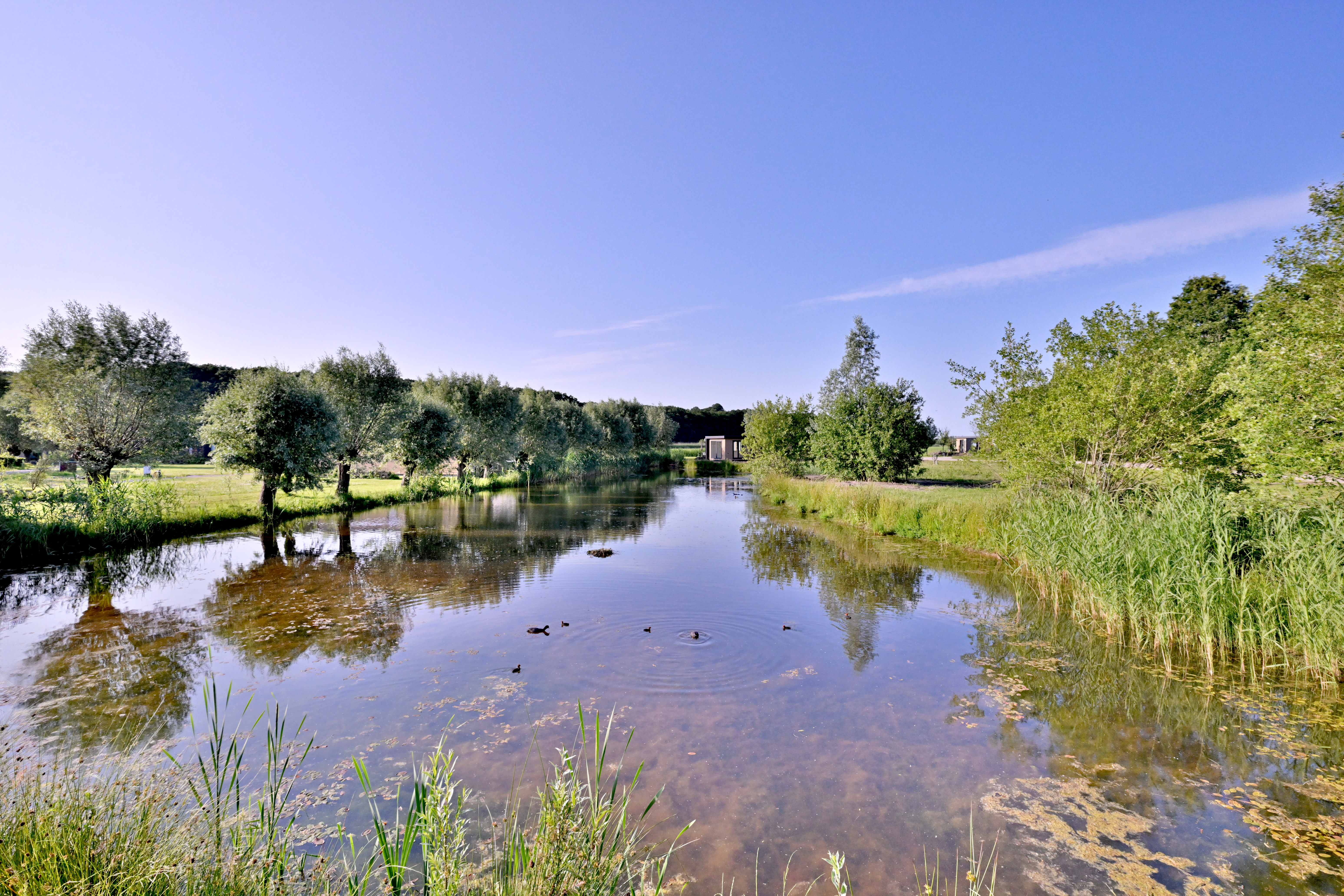 Fietsen bij Kampeerpark Het Waldhoorn