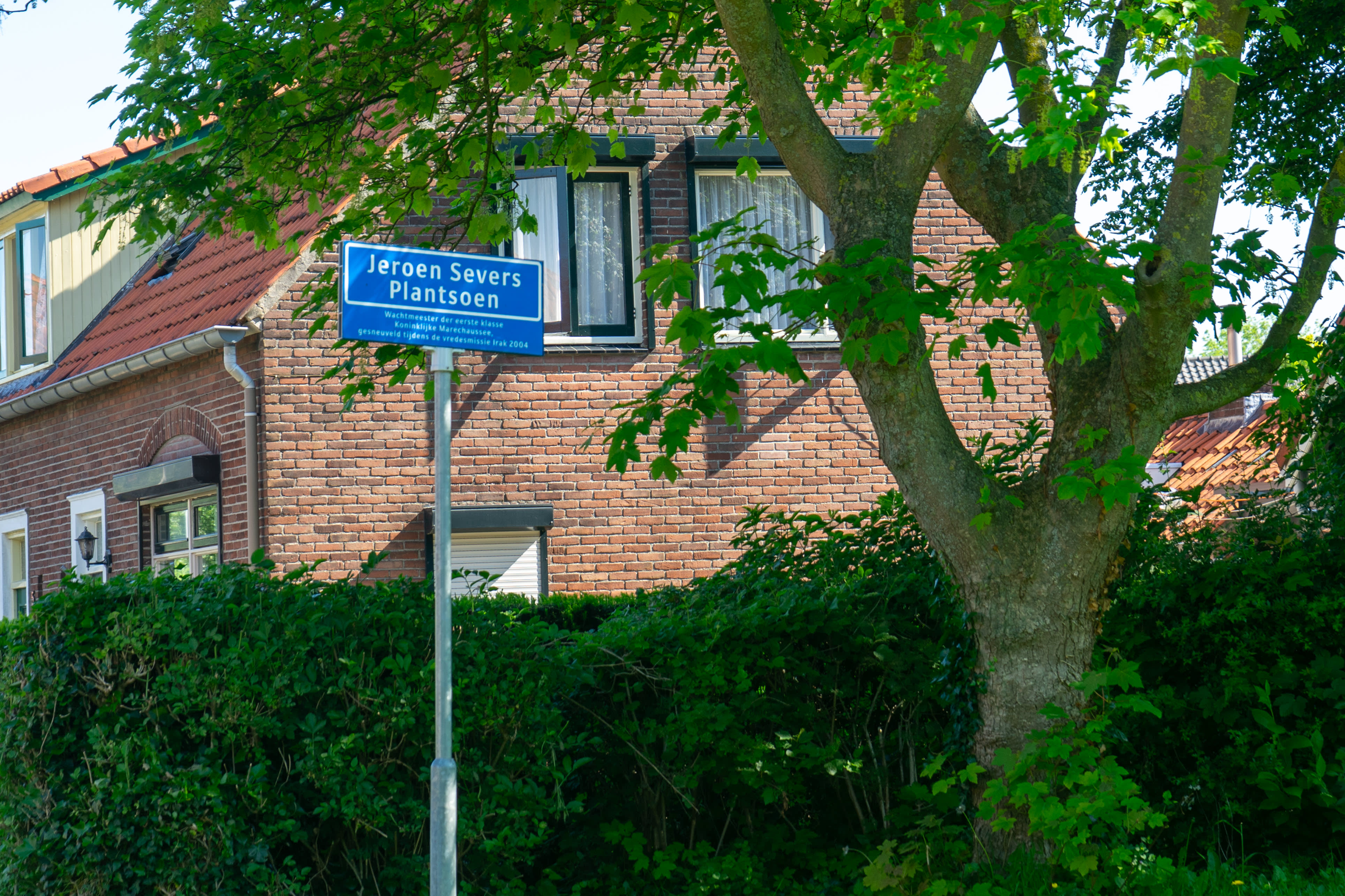 Het plantsoen in Zoelmond