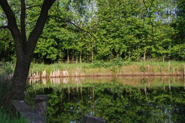 Boerderijcamping Veldzicht