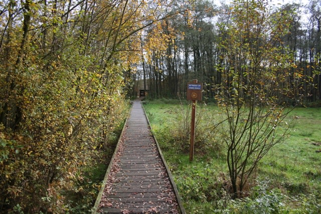 Vlonderpad richting Vogelkijkhut Plas van Gent