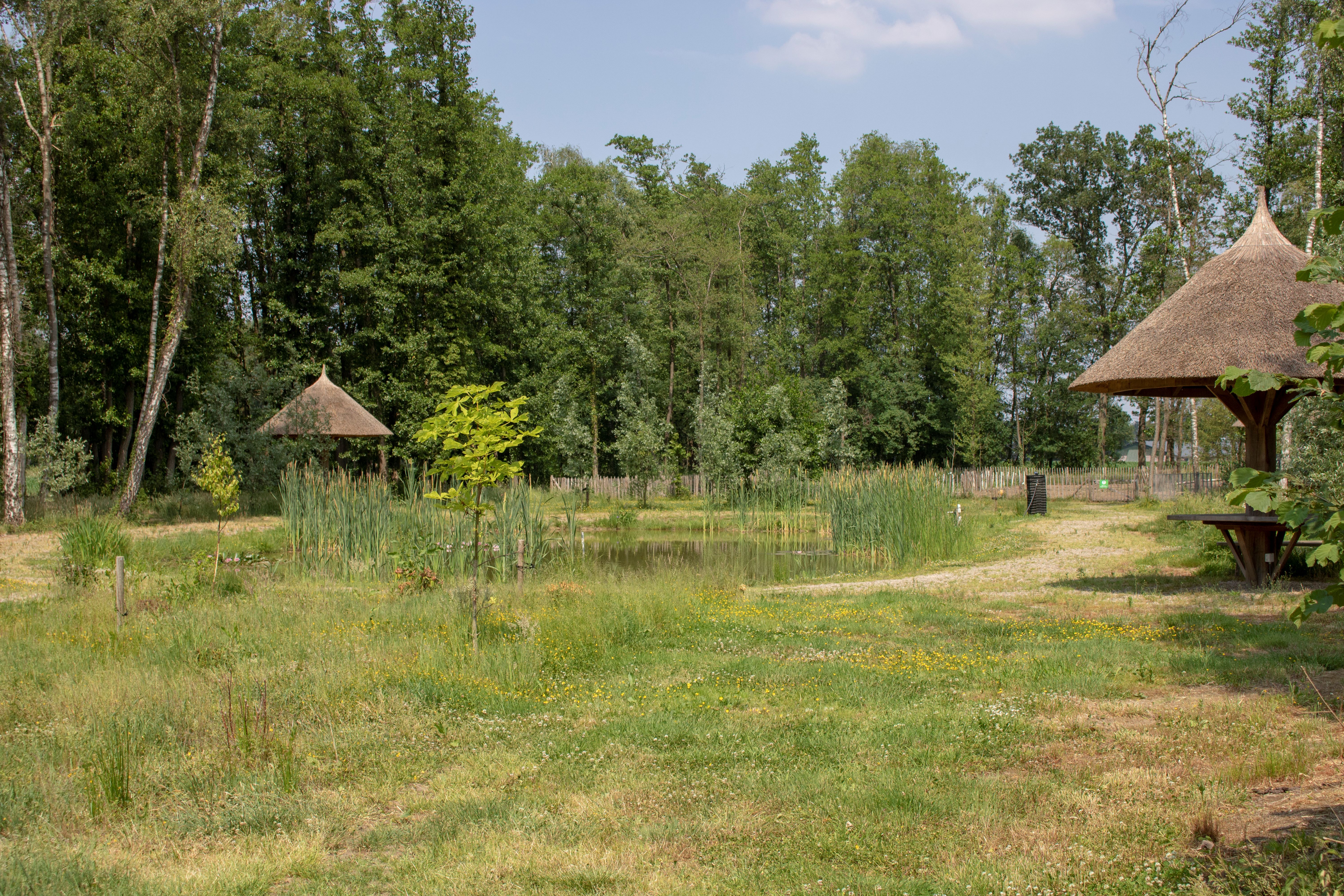 Theehuis de Heerlijke Huiskamer Tuin