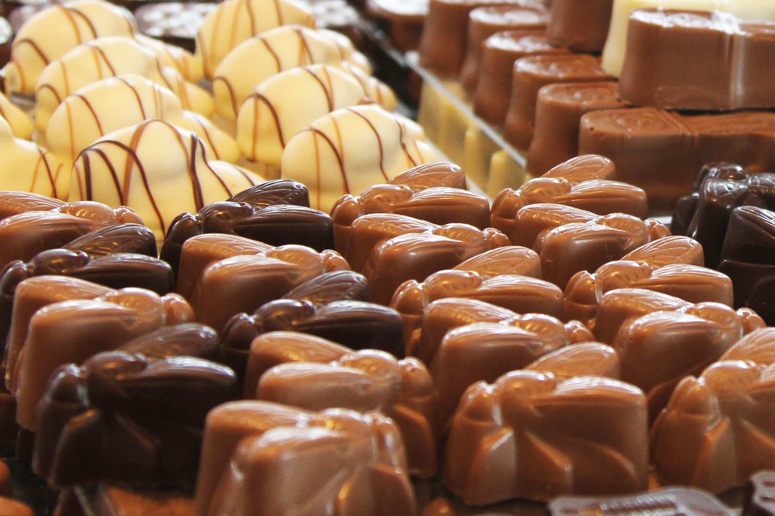 Chocolaterie Vos & Zo