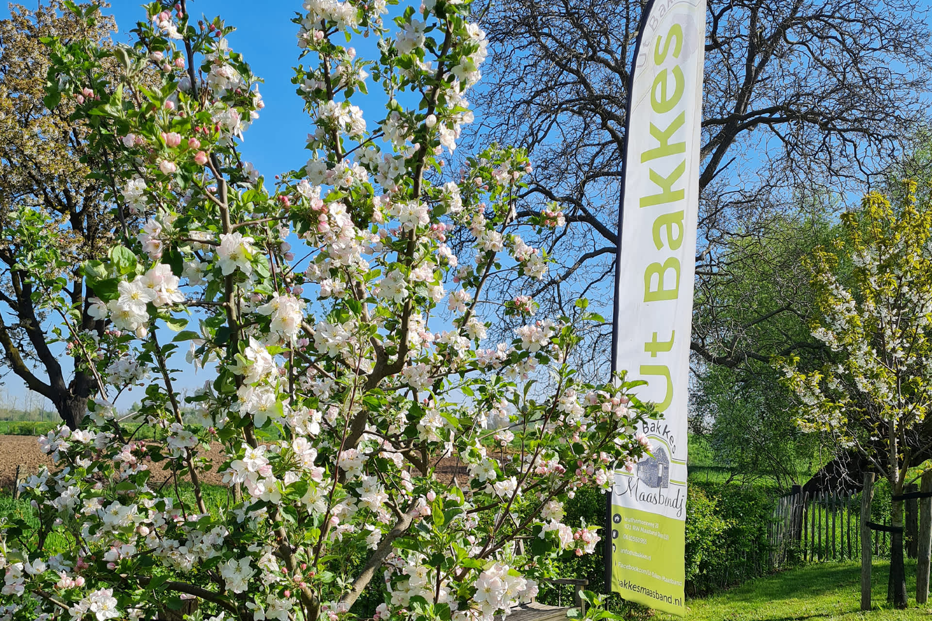 Welkom bij Ut Bakkes