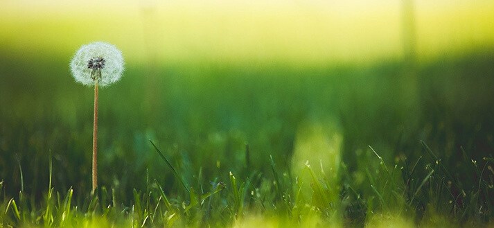 Recreatiegebied Schoteroog