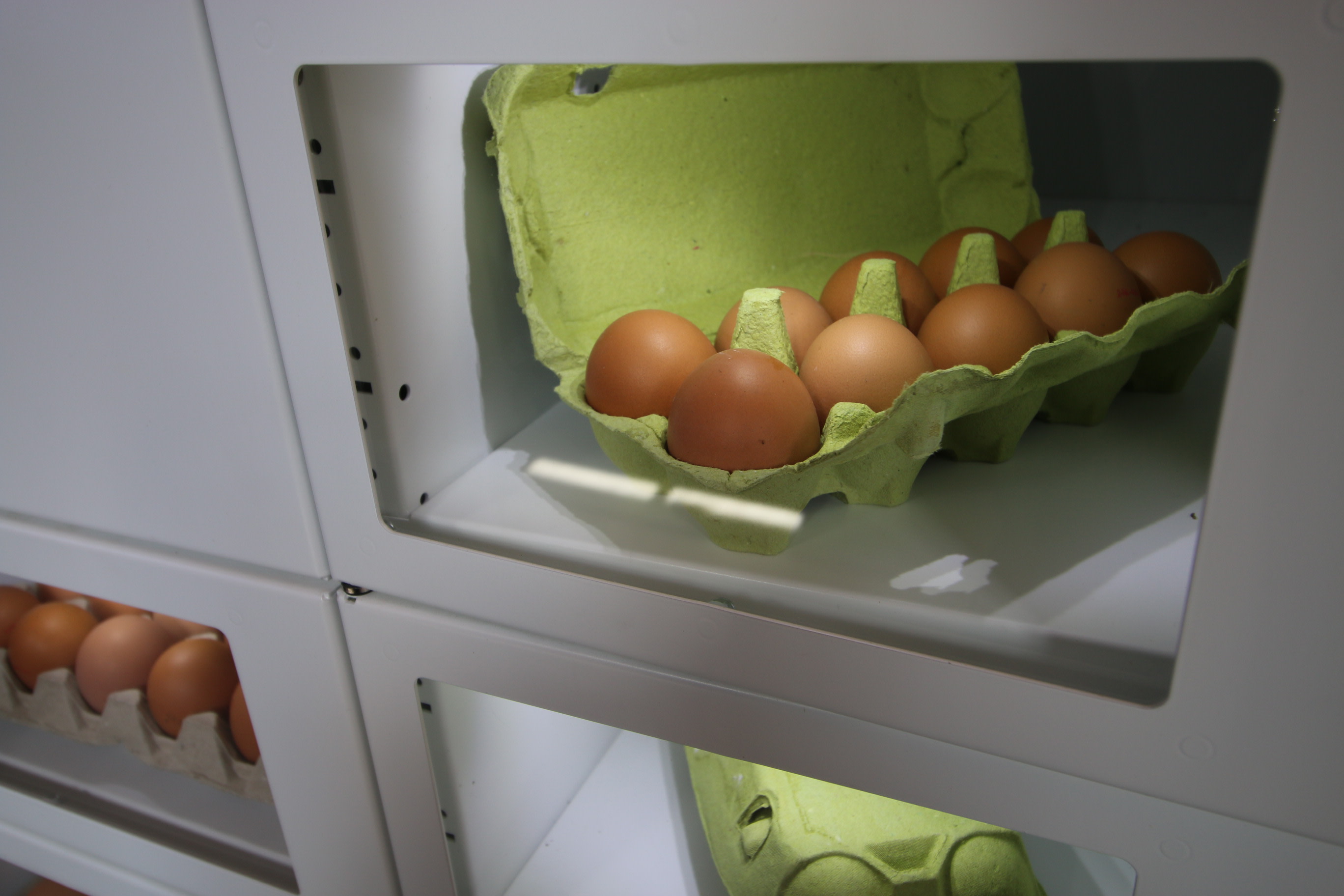 Eieren uit het boerderij automaat van Zuivelboerderij van Wees