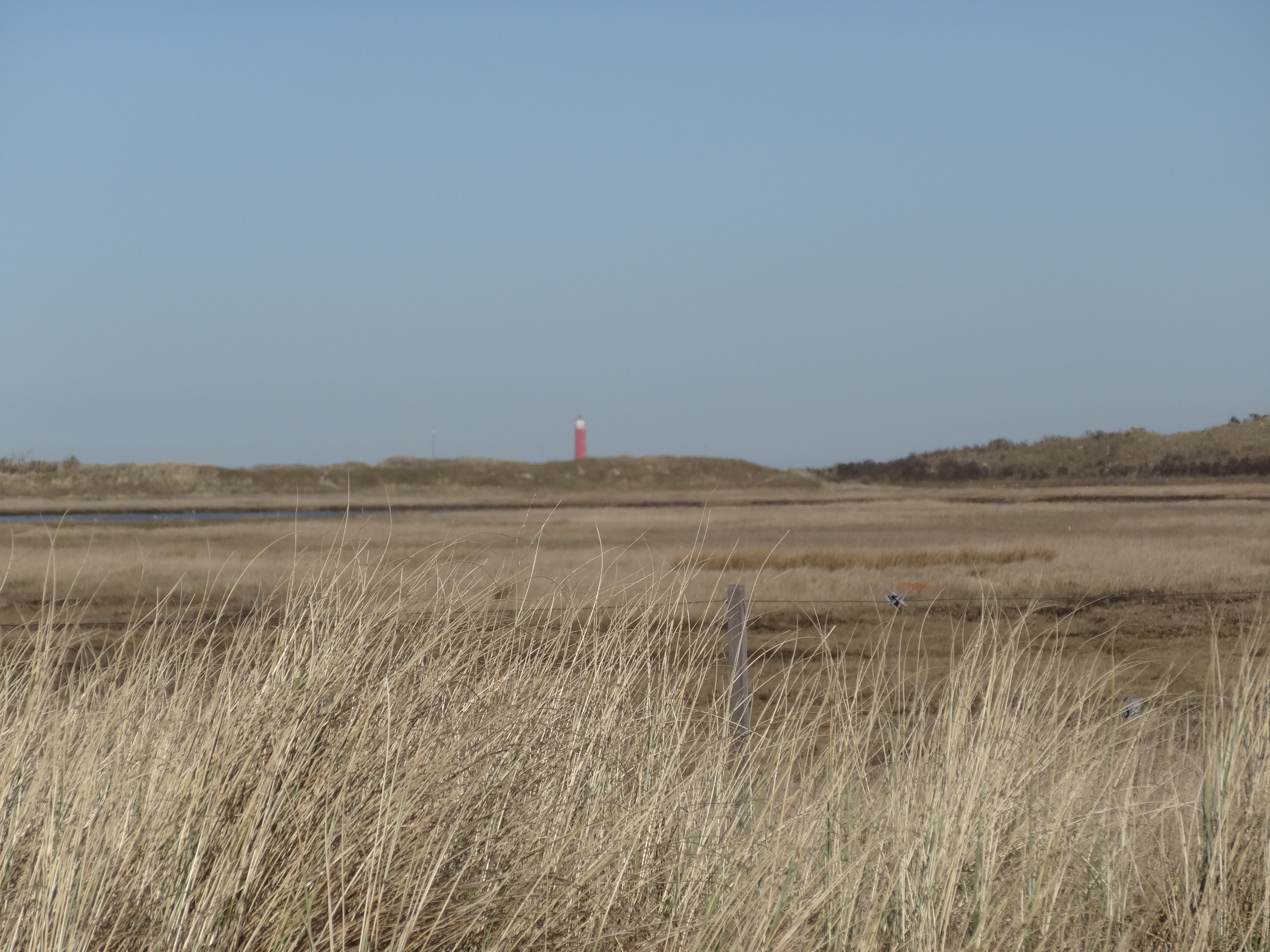 Nationaal Park Duinen van Texel
