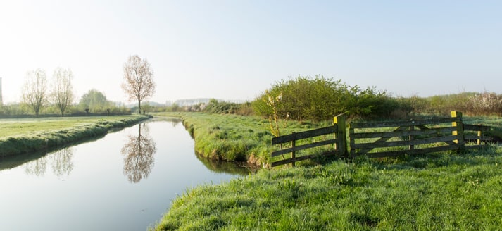 Natuurgebied Regulieren
