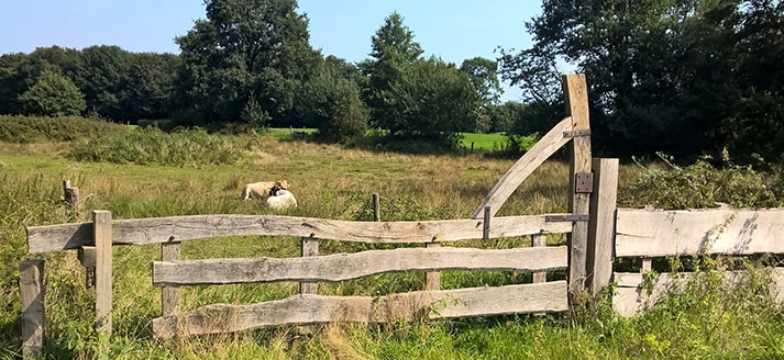 Natuurbalkon Ambt Delden