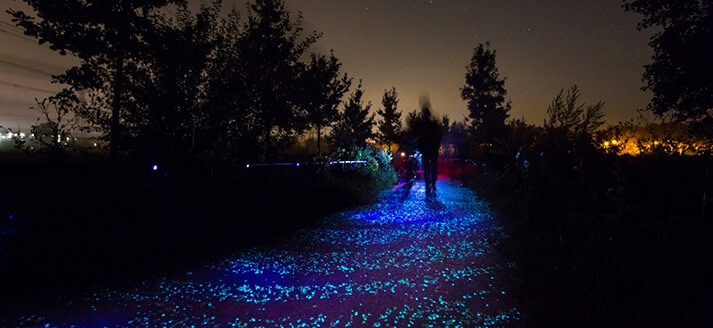 Van Gogh-Roosegaarde fietspad 's-avonds