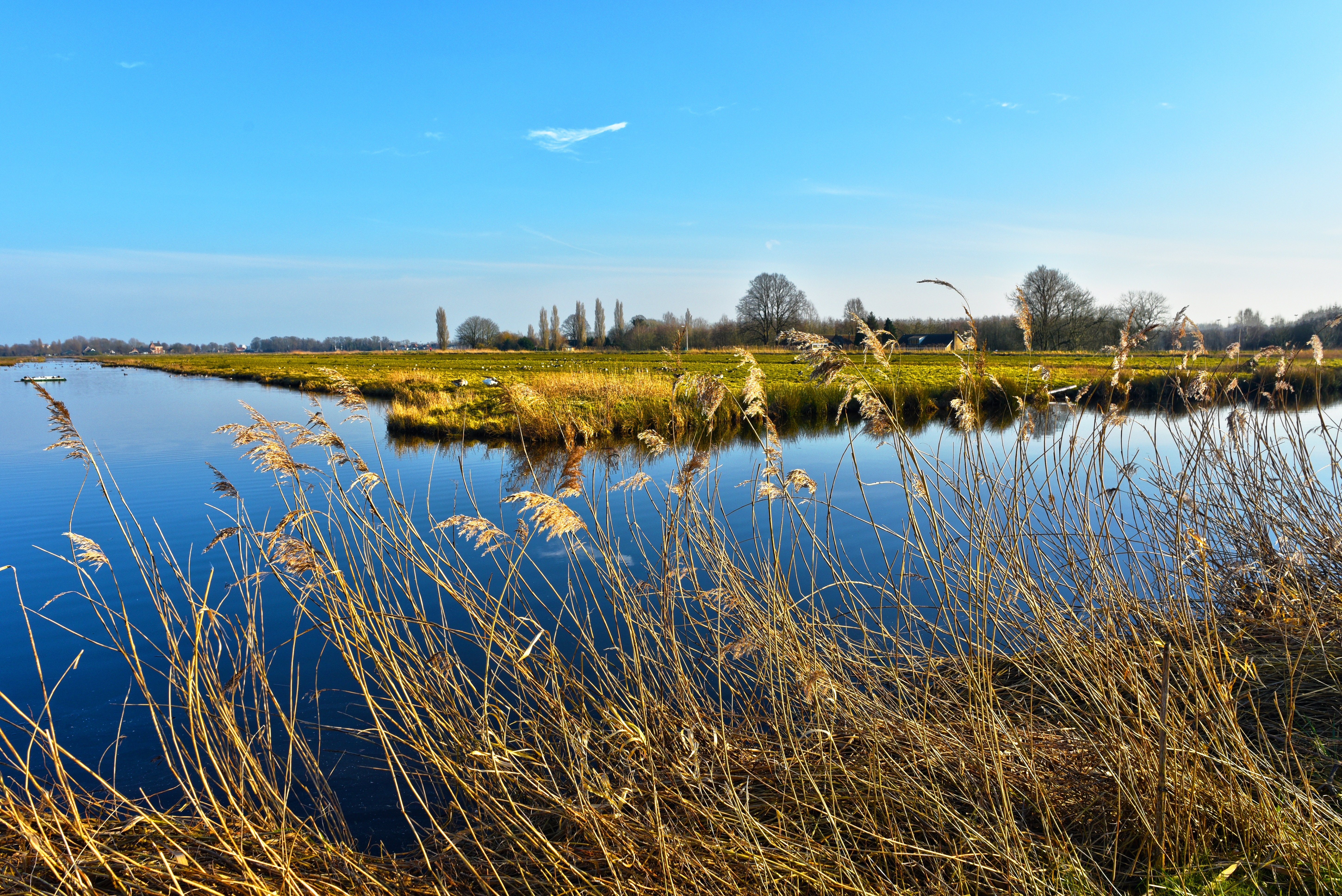Natuurgebied Twisk