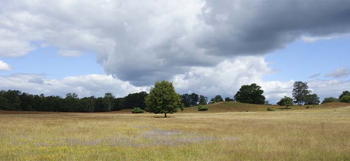 Foto ter illustratie