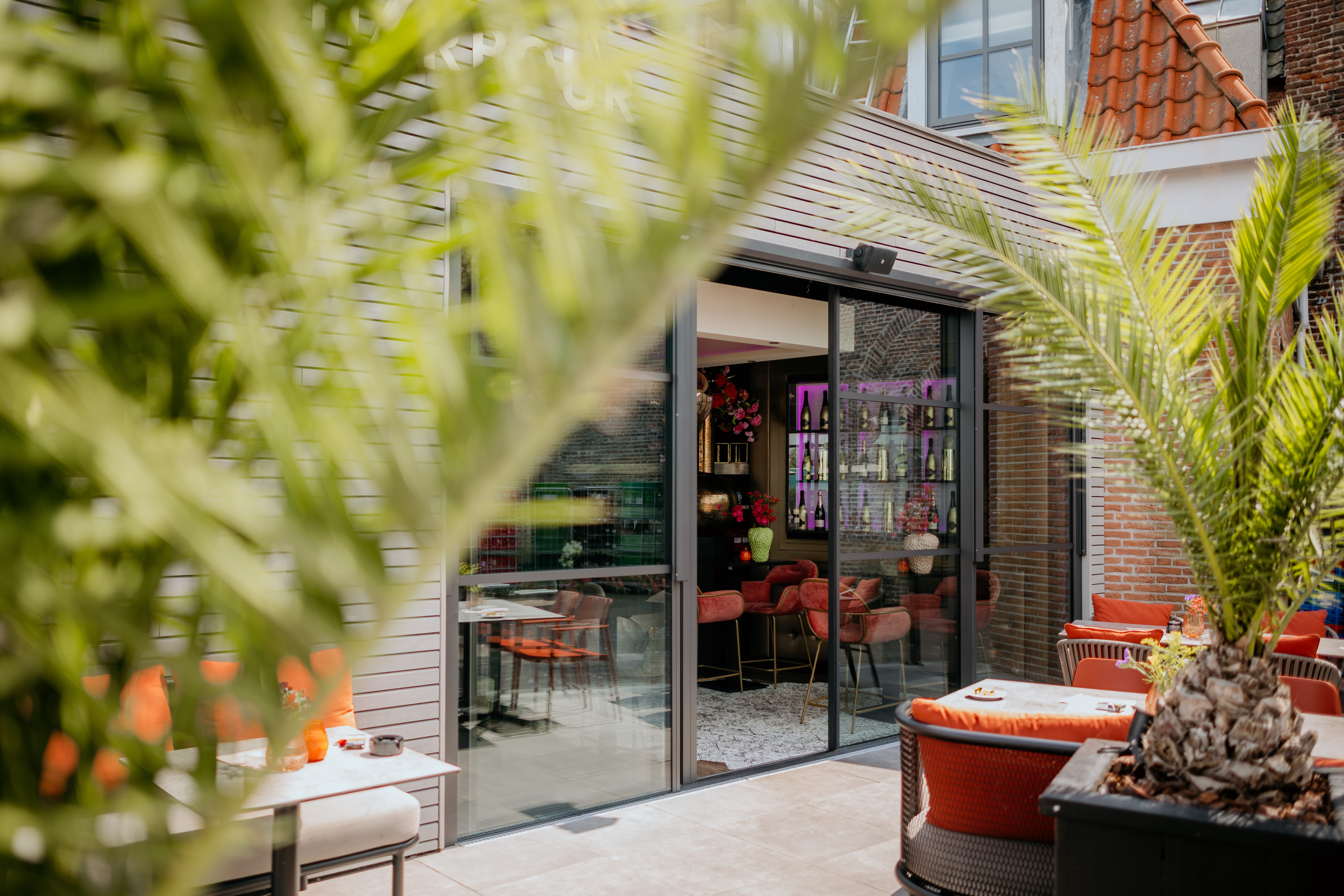 Tussen de palmen bij de Cozy Harbour