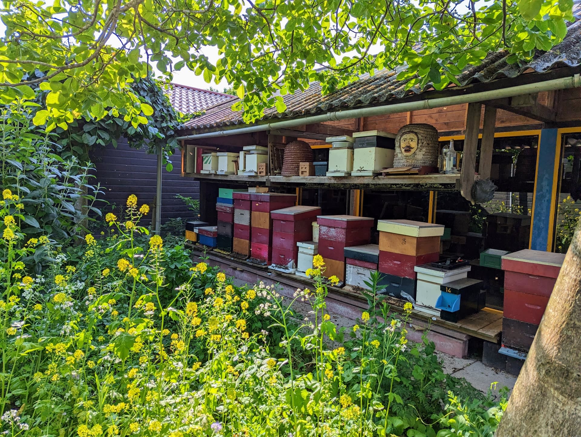 Bijenstal van The Bee