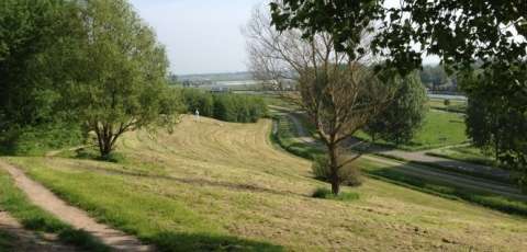 Restaurant Bergsche Plas