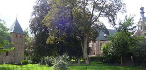 Hotel De Musschenberg