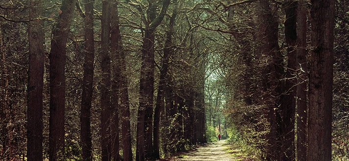 Wandelen op het landgoed