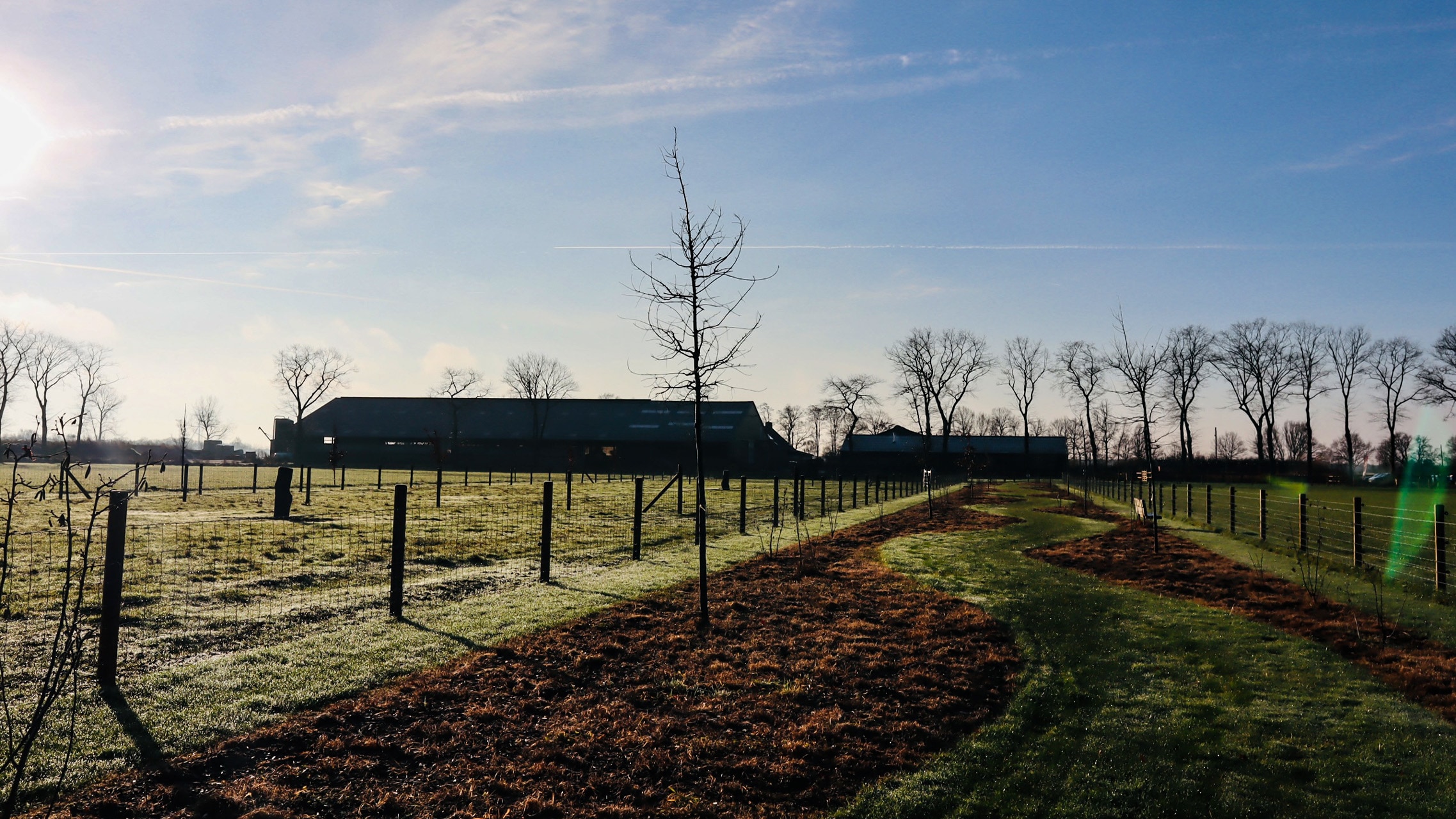 Boerderijcamping met horeca