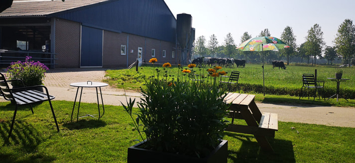 Uitzicht vanaf het terras