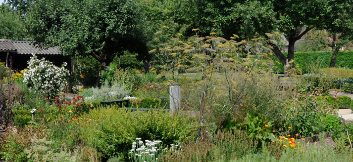 Prachtige kruidentuin, moestuin, boomgaard en bloemenhof