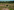 Cycle route through woods and heathland