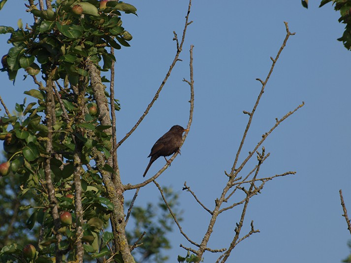Natuurkampeerterrein De Haverkamp