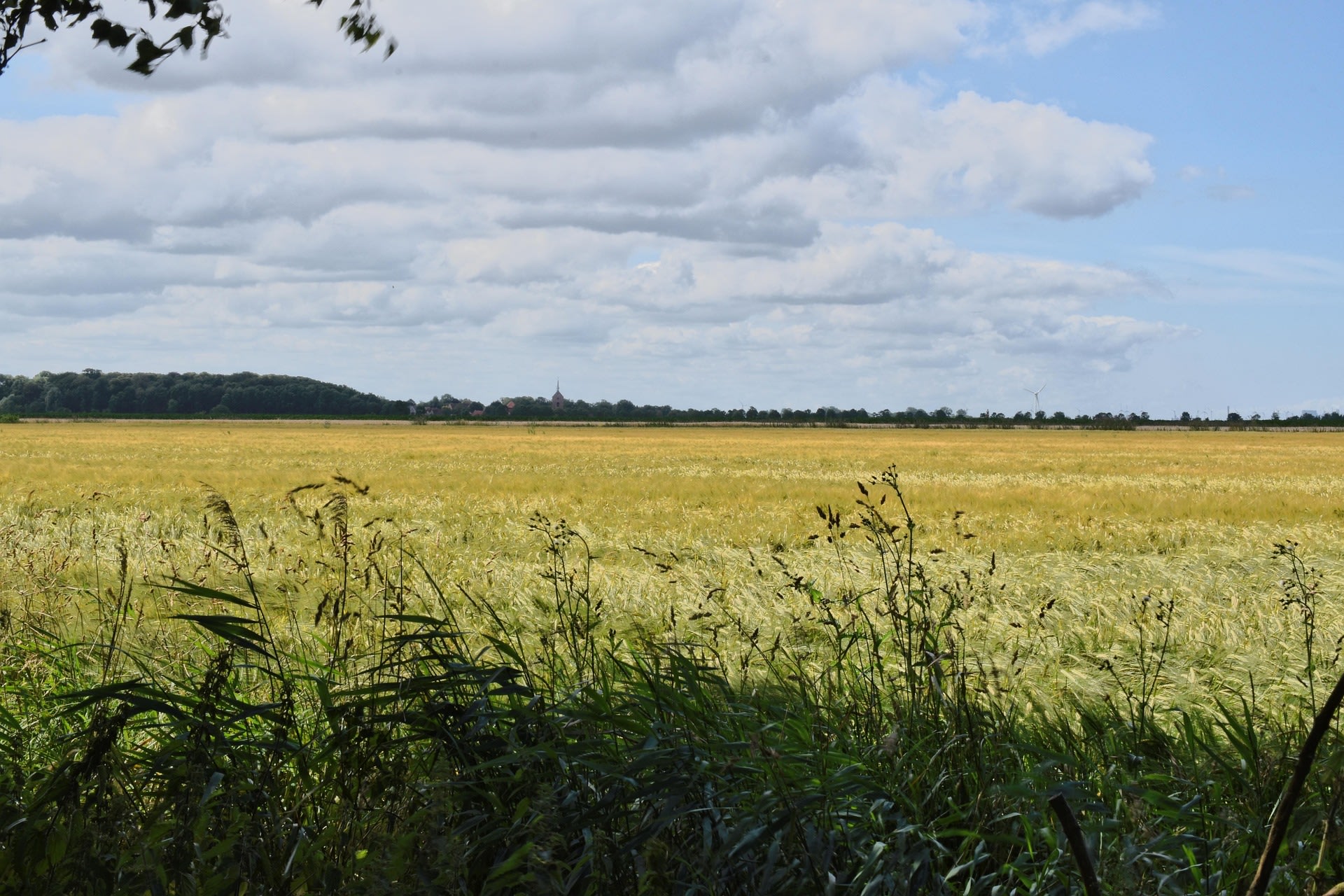 doorkijkje Noardlike Fryske Wâlden