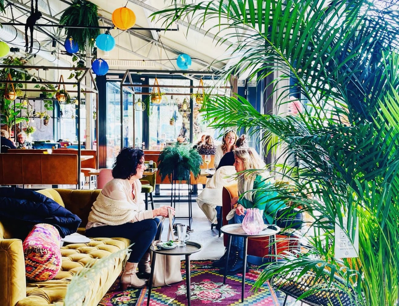 Welkom bij De Brielsche Aap