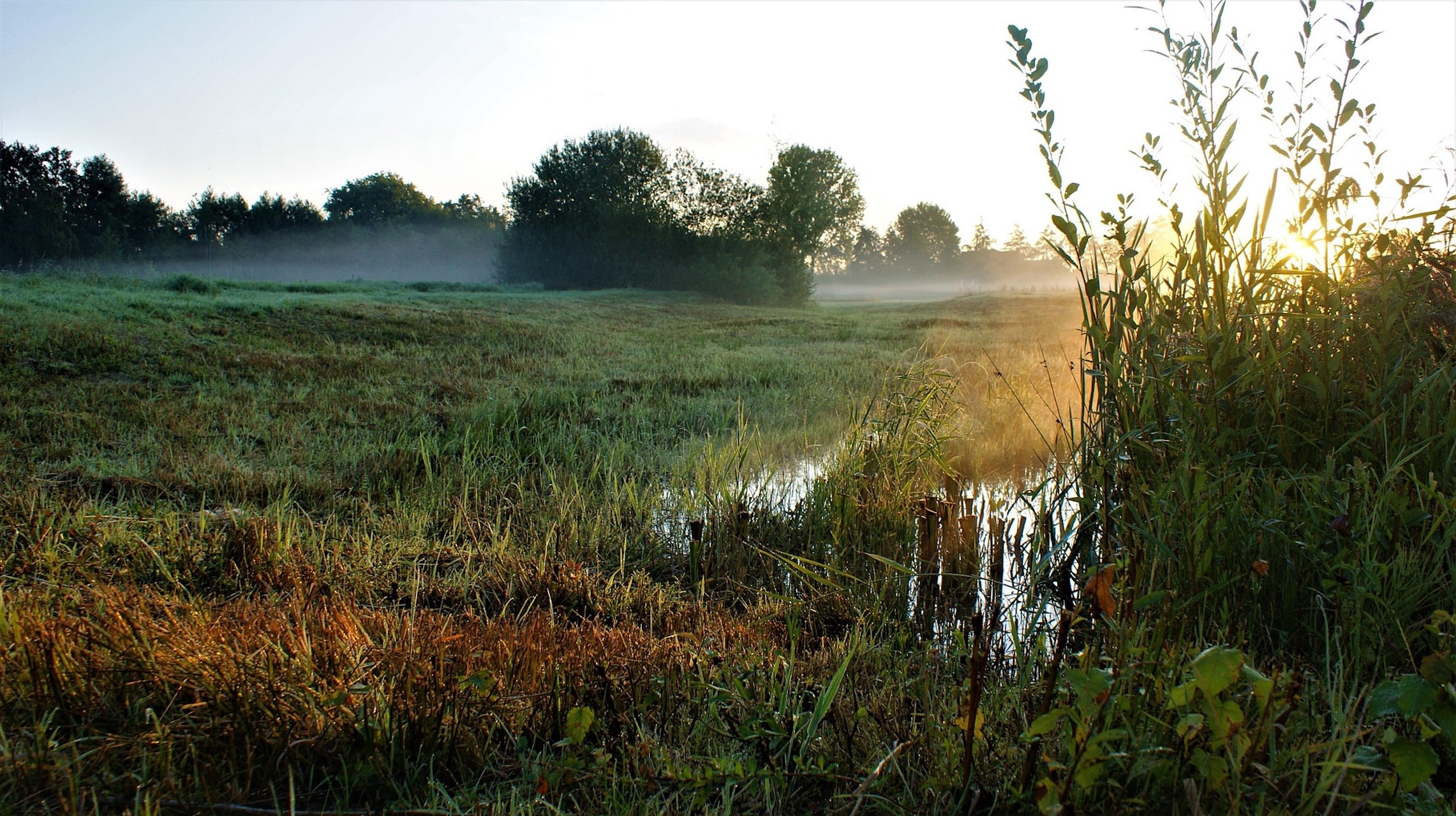 Natuurgebied De Maatjes