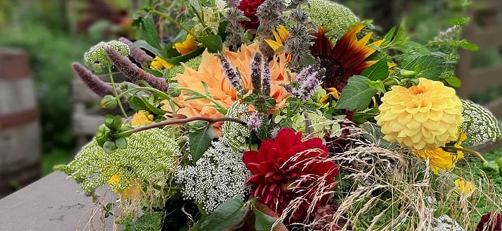 Pluktuin Mooy bloemenbos