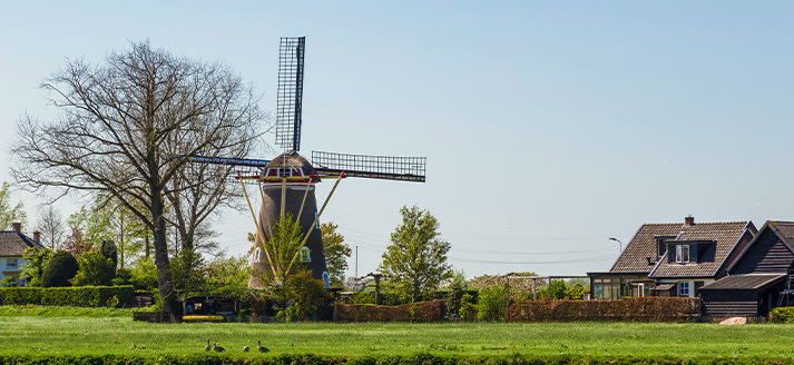 Molen De Korenbloem