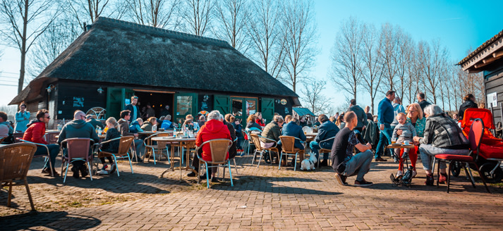 Groot terras aan de rand van het Wijboschbroek