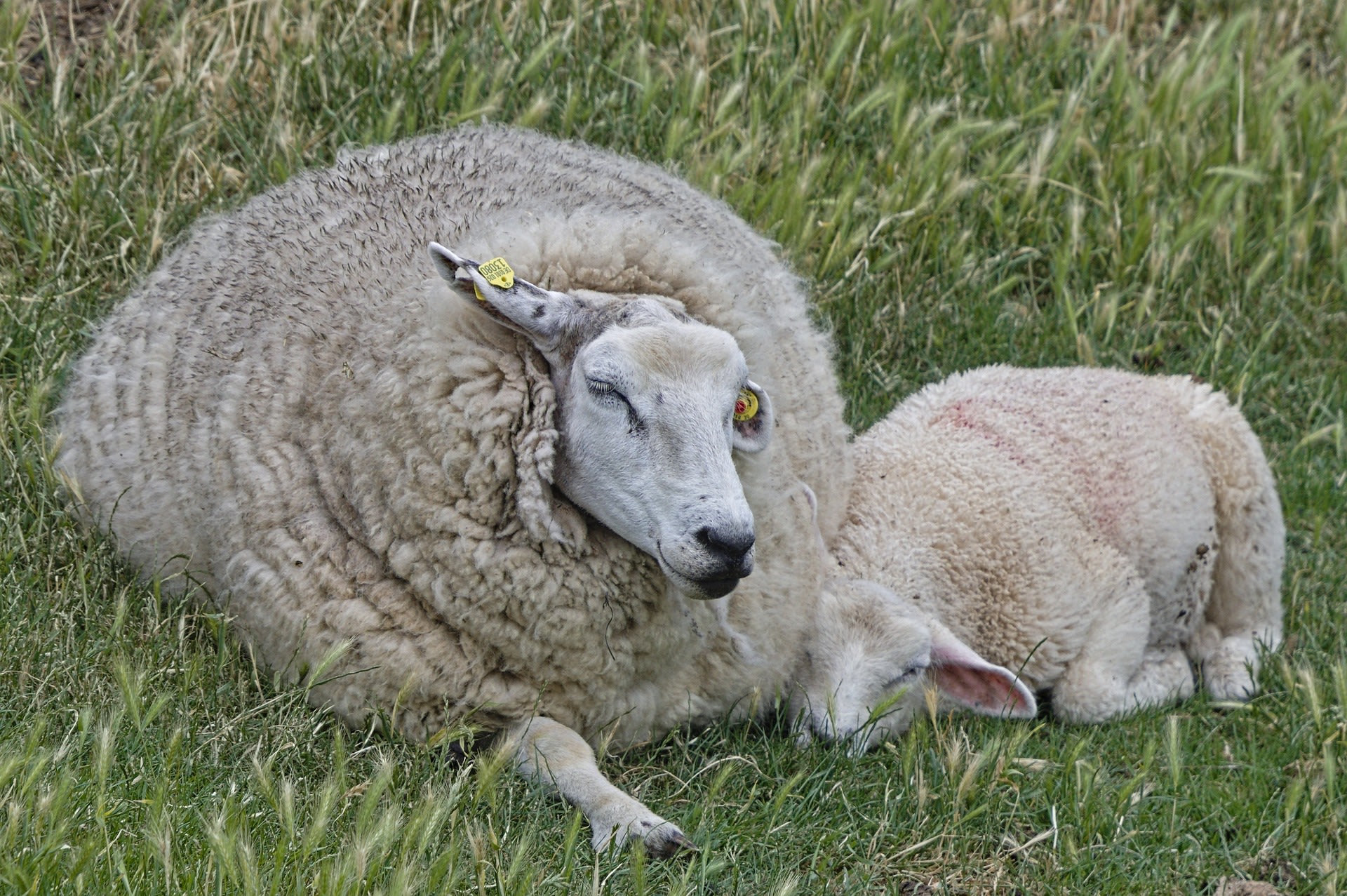 Natuurgebied de Pluimpot