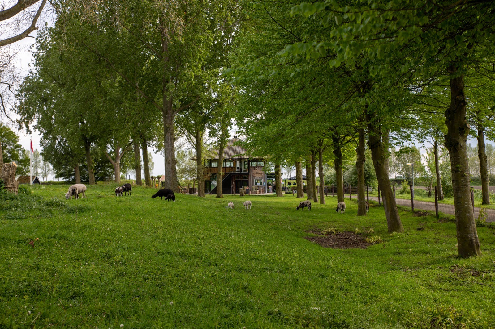 Schaapskooi Heinkenszand