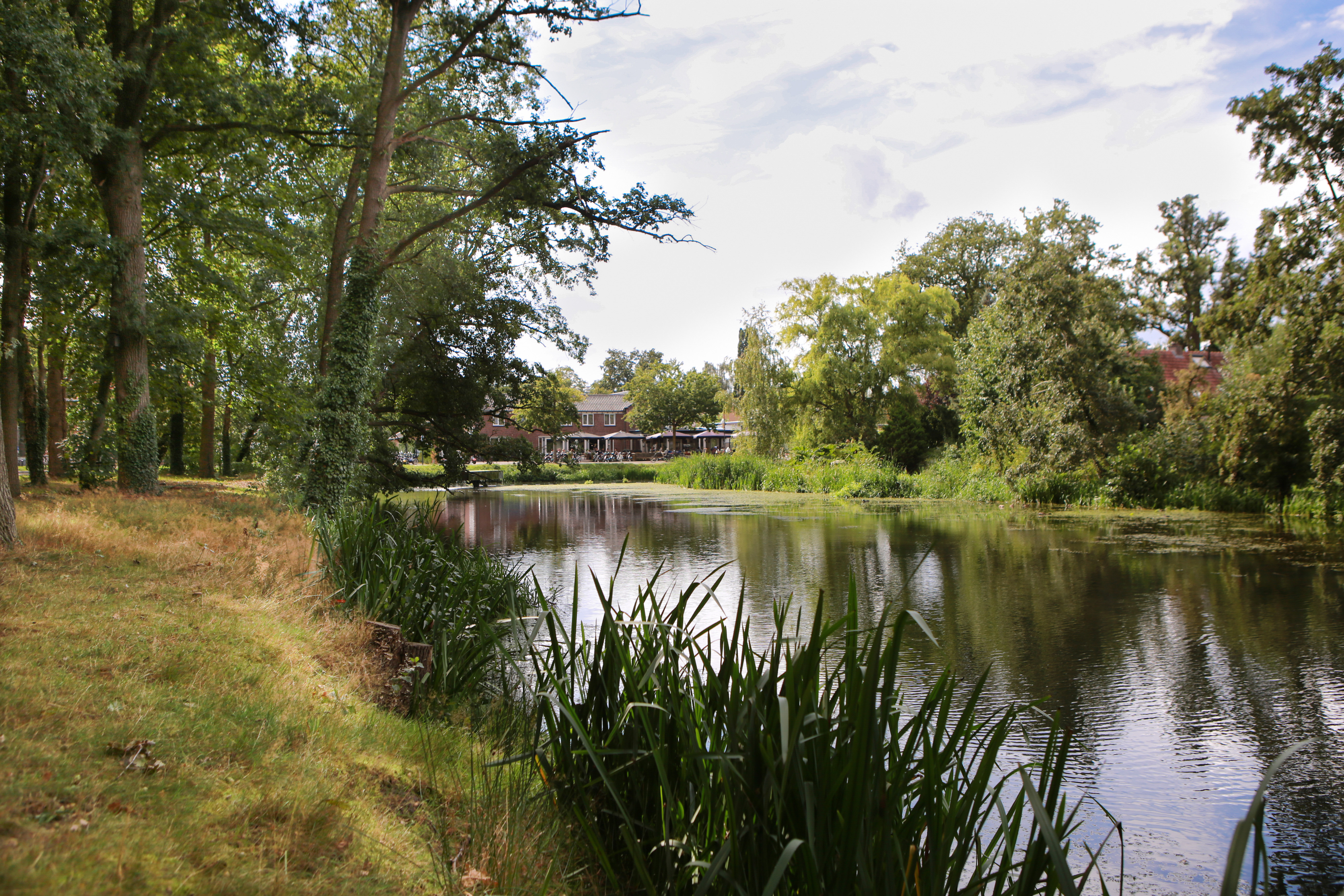 Terras aan het water