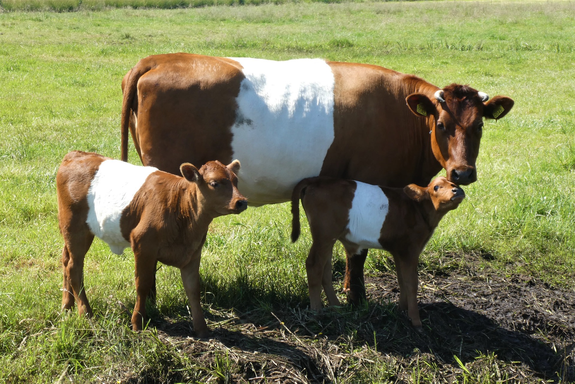 Boerderij Van 't Zandeind